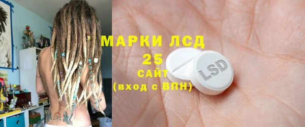 ГАЛЛЮЦИНОГЕННЫЕ ГРИБЫ Пересвет