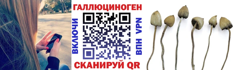 Псилоцибиновые грибы прущие грибы  Удомля 