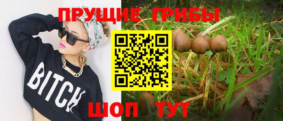 Галлюциногенные грибы прущие грибы Удомля