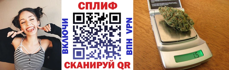 Конопля сатива  Удомля 